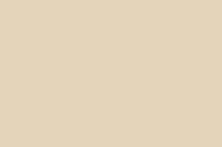 Silk Plaster Общестроительные краски PRIME COLOR Краска Резиновая PRO 10-03 Бежевая 2,5 л 
