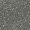 Rasch Varvara 920420