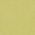 Натуральный Forbo Marmoleum 2,5мм 3885