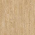 IVC Next Royal Oak 282