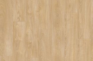 IVC Next Royal Oak 282