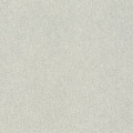 Rasch Raymond 957310