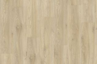 IVC Lay Red EIR Sierra Oak 58268