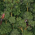Holden Decor Amazonia Botanist Green 91250