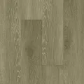 Home Expert Nature Дуб Волшебный лес 2185-12