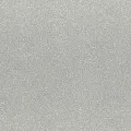 Rasch Varvara 920444