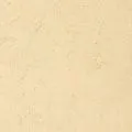 Forbo Marmoleum Fresco 2,5мм 3858