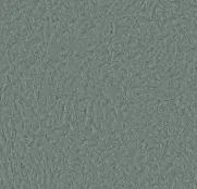 жидкие Silk Plaster Арт Дизайн 207