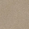 Rasch Jolly 970104