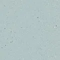Forbo Sure step Original pale 171302