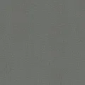 Rasch Varvara 920635