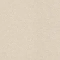 Rasch Composition 554458