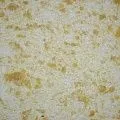 Silk Plaster Эко лайн 762