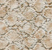 BN Grand Safari 220542