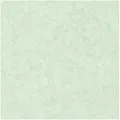 Caselio Beton 101487400