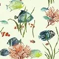 York Ashford Tropics AT7001