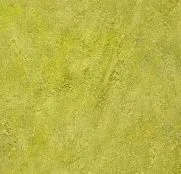Forbo Marmoleum Real 3224 chartreuse