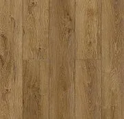 NatisSton Leger Host 5001-02