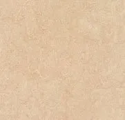 Forbo Marmoleum Fresco 2,5мм 3861