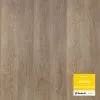 Tarkett Artisan Дуб Тейт Подлинный