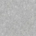 Rasch Varvara 920352