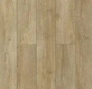 NatisSton Leger Eclipse 5001-03