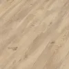 Meister LD 250 Дуб пустынный 6998