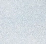 жидкие Silk Plaster Арт Дизайн 268