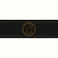 AS Creation Versace 5 Бордюр 93522-4