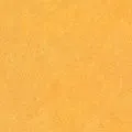 Forbo Marmoleum Real 3225 dandelion