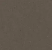 BN Grand Safari 220509