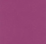 Rasch Kalahari 448542