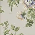 York Casabella II BA4611