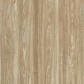 Westerhof Spark Shimmer 6006-4