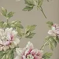 York Casabella II BA4612