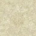 York Charlotte TB4246