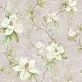 York Charlotte TB4202