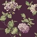 York Operetta PF0206