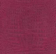 Rasch Mandalay 528701