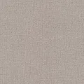 Rasch Andy Wand 639643