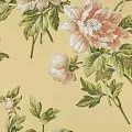 York Casabella II BA4614