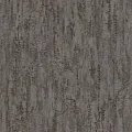 Rasch Composition 554076