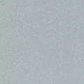 Rasch Composition 554465