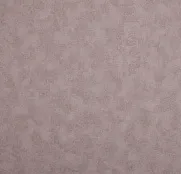 NC Color 4050-010