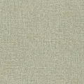 Rasch Jolly 970524