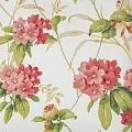 York Casabella II BA4543