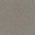 Rasch Composition 554564