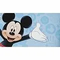 York Disney 2 DS7799BD