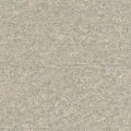 Rasch Composition 554342