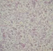 жидкие Silk Plaster Рельеф Г-331